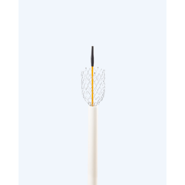 尿道支架 Vet Stent–Urethra™