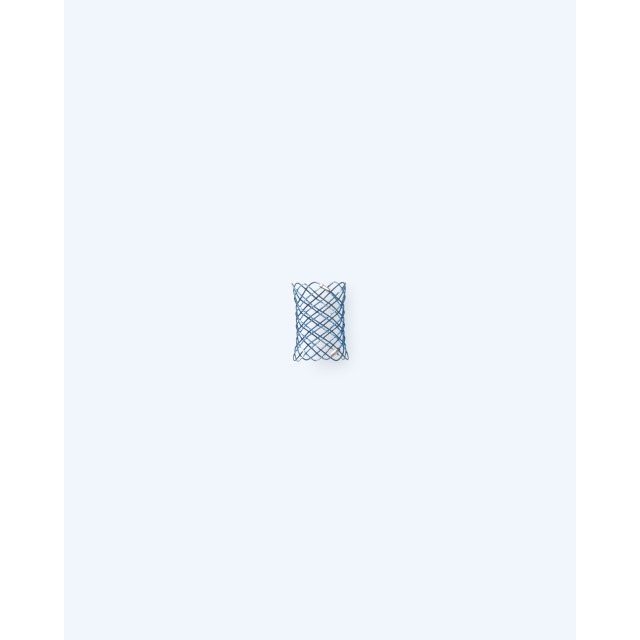 支氣管支架 Vet Stent–Bronchus™ 支氣管支架 Vet Stent–Bronchus™