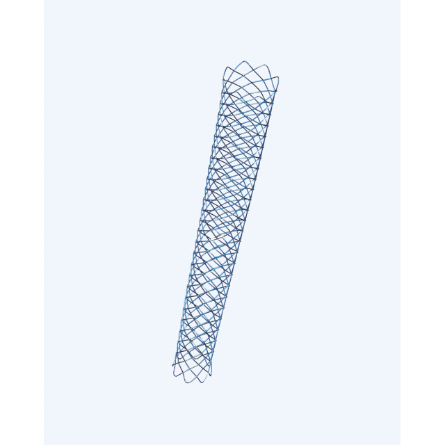 氣管支架及變徑氣管支架 Vet Stent–Trachea™ & Duality Vet Stent® 氣管支架及變徑氣管支架 Vet Stent–Trachea™ & Duality Vet Stent®