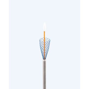 變徑氣管支架 Duality Vet Stent®