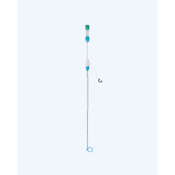 腎造瘻管 Nephrostomy Tube