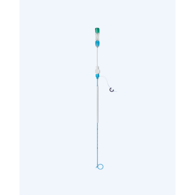 腎造瘻管 Nephrostomy Tube